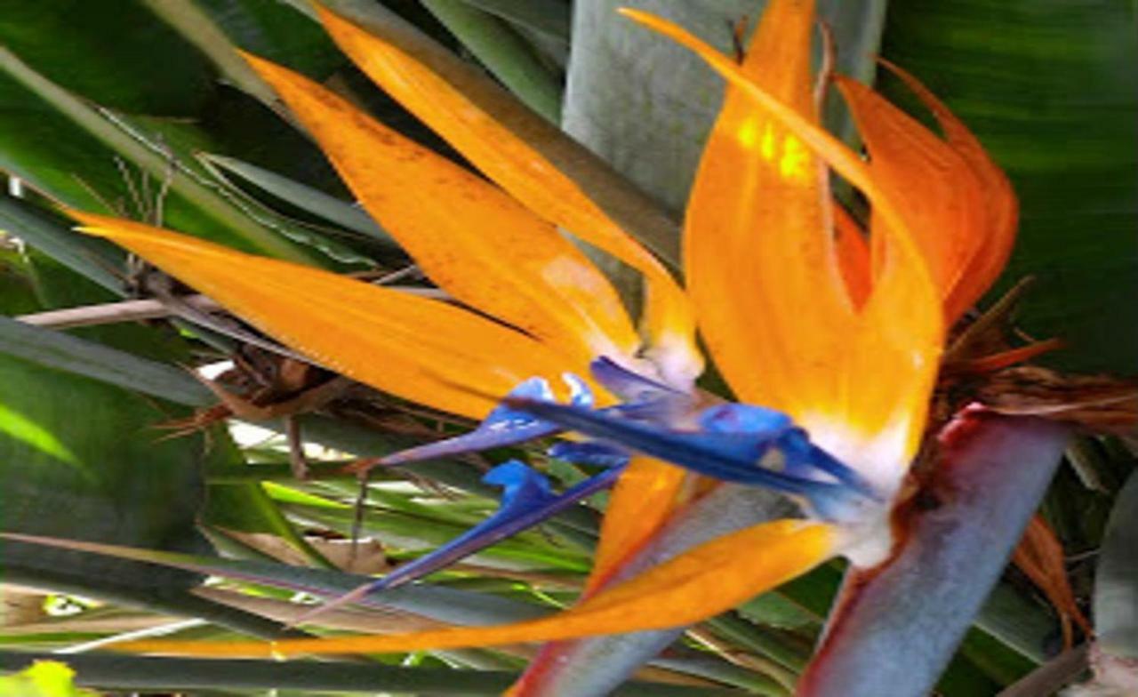Hacienda Sol Trapiche Villa Trapiche  Luaran gambar
